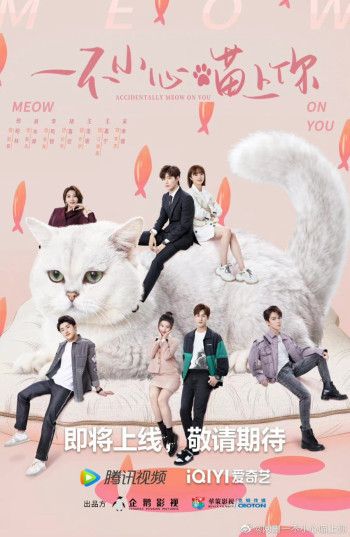 Bất Cẩn Meow Phải Anh (Accidentally Meow On You) [2022]