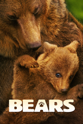 Bears (Bears) [2014]