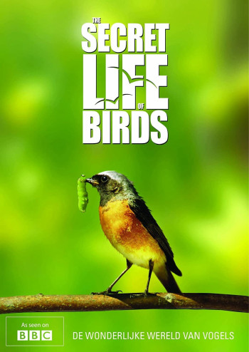 Bí ẩn cuộc sống loài chim (The Secret Life of Birds ) [2012]