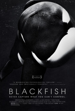 Cá đen (Blackfish) [2013]