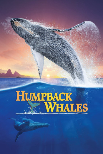  Cá Voi Lưng Gù (Humpback Whales) [2015]