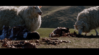 Cừu Ăn Thịt Người