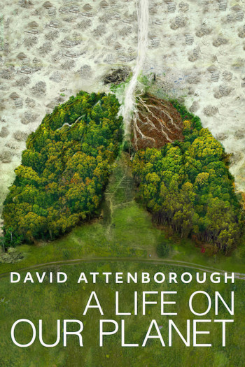 David Attenborough: Một cuộc đời trên Trái Đất (David Attenborough: A Life on Our Planet) [2020]