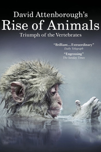 David Attenborough's Rise of Animals: Triumph of the Vertebrates (David Attenborough's Rise of Animals: Triumph of the Vertebrates) [2013]