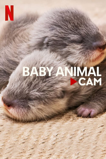 Động vật bé cưng trên camera (Baby Animal Cam) [2023]