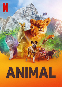 Động vật (Phần 1) (Animal (Season 1)) [2021]