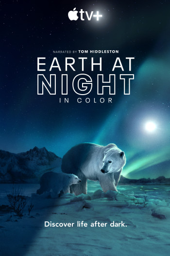 Màn đêm trên Trái Đất: Thước phim trong bóng tối (Night on Earth: Shot in the Dark) [2020]