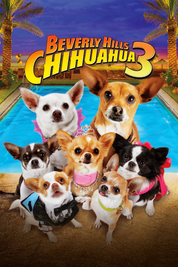 Những Chú Chó Chihuahua 3 (Beverly Hills Chihuahua 3: Viva la Fiesta!) [2012]
