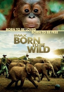 Những Loài Vật Mồ Côi (Born to Be Wild) [2011]