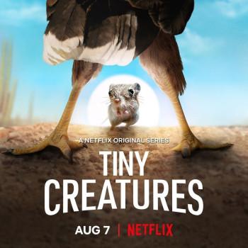 Những sinh vật tí hon (Tiny Creatures) [2020]