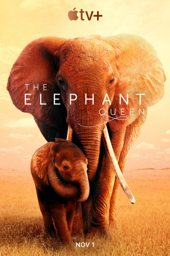 Nữ Hoàng Voi (The Elephant Queen) [2019]