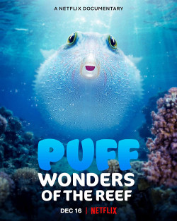 Puff: Rạn san hô kỳ diệu (Puff: Wonders of the Reef) [2021]