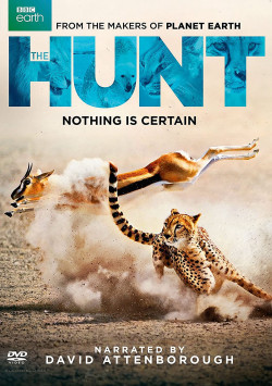 Săn Mồi (BBC: The Hunt) [2015]