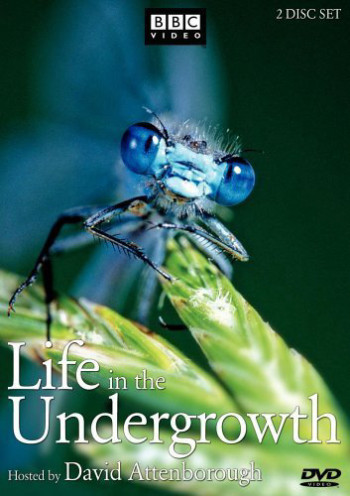 Thế Giới Côn Trùng (Life in The Undergrowth) [2005]