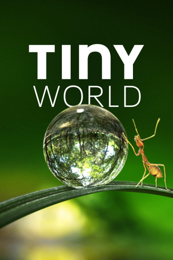 Thế Giới Siêu Nhỏ (Phần 1) (Tiny World (Season 1)) [2020]