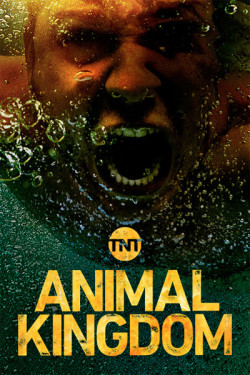 Vương quốc động vật (Phần 3) (Animal Kingdom (Season 3)) [2018]