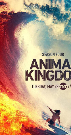 Vương quốc động vật (Phần 4) (Animal Kingdom (Season 4)) [2019]