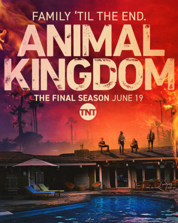 Vương quốc động vật (Phần 6) (Animal Kingdom (Season 6)) [2022]